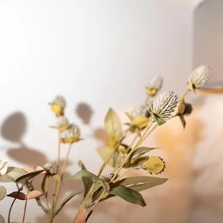 Apartamento No 23- Free Parking Saraievo